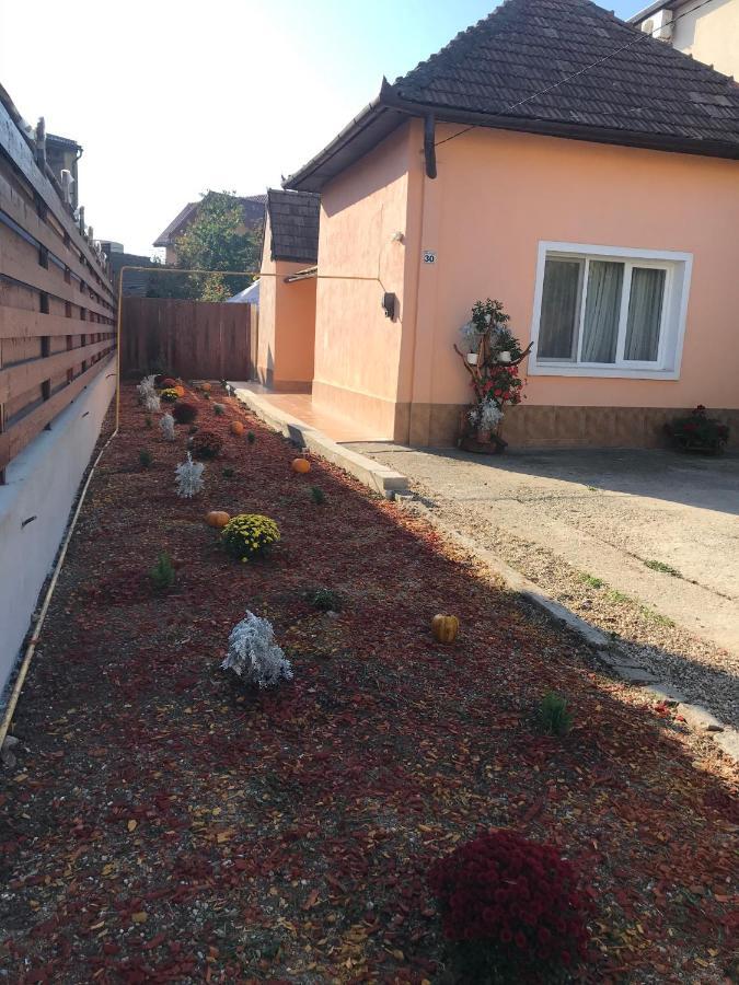 Permissive Villa Cluj-Napoca Buitenkant foto