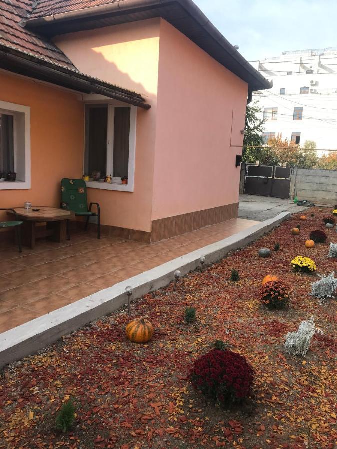 Permissive Villa Cluj-Napoca Buitenkant foto